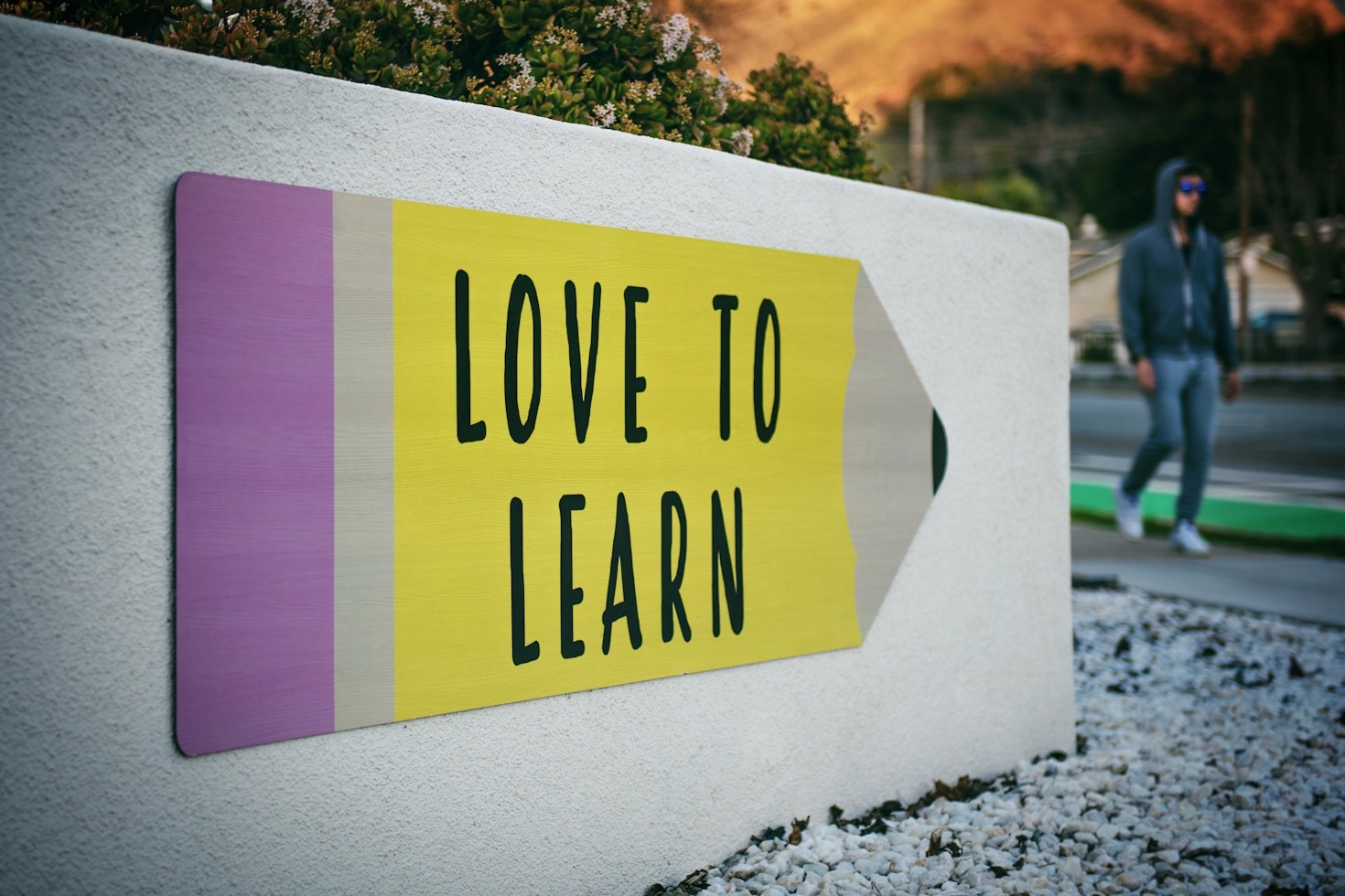 Creating Opportunities Through Accessible Education