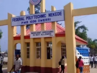 FED POLY NEKEDE