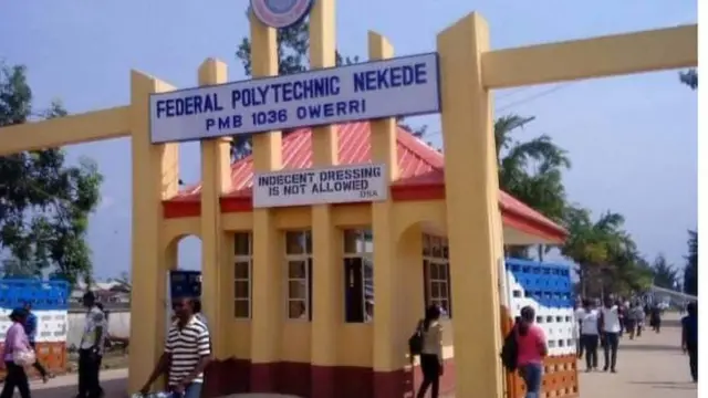 FED POLY NEKEDE