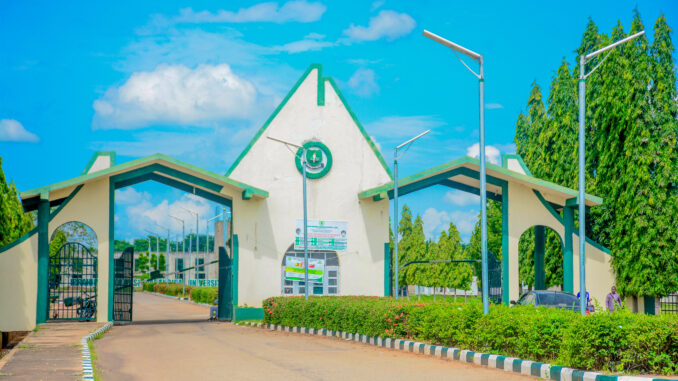 IBBUL
