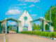 IBBUL