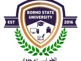 Borno state university
