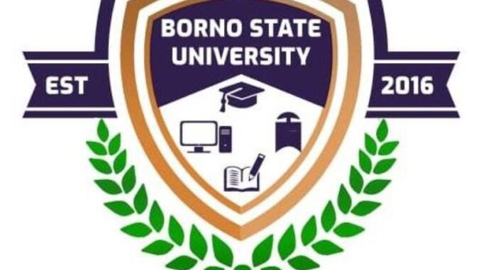 Borno state university